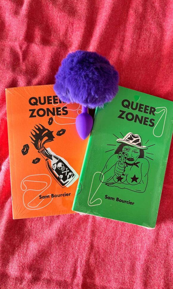 plug anal pelúcia de brinde na compra de queer zones 1 e 2 de sam bourcier