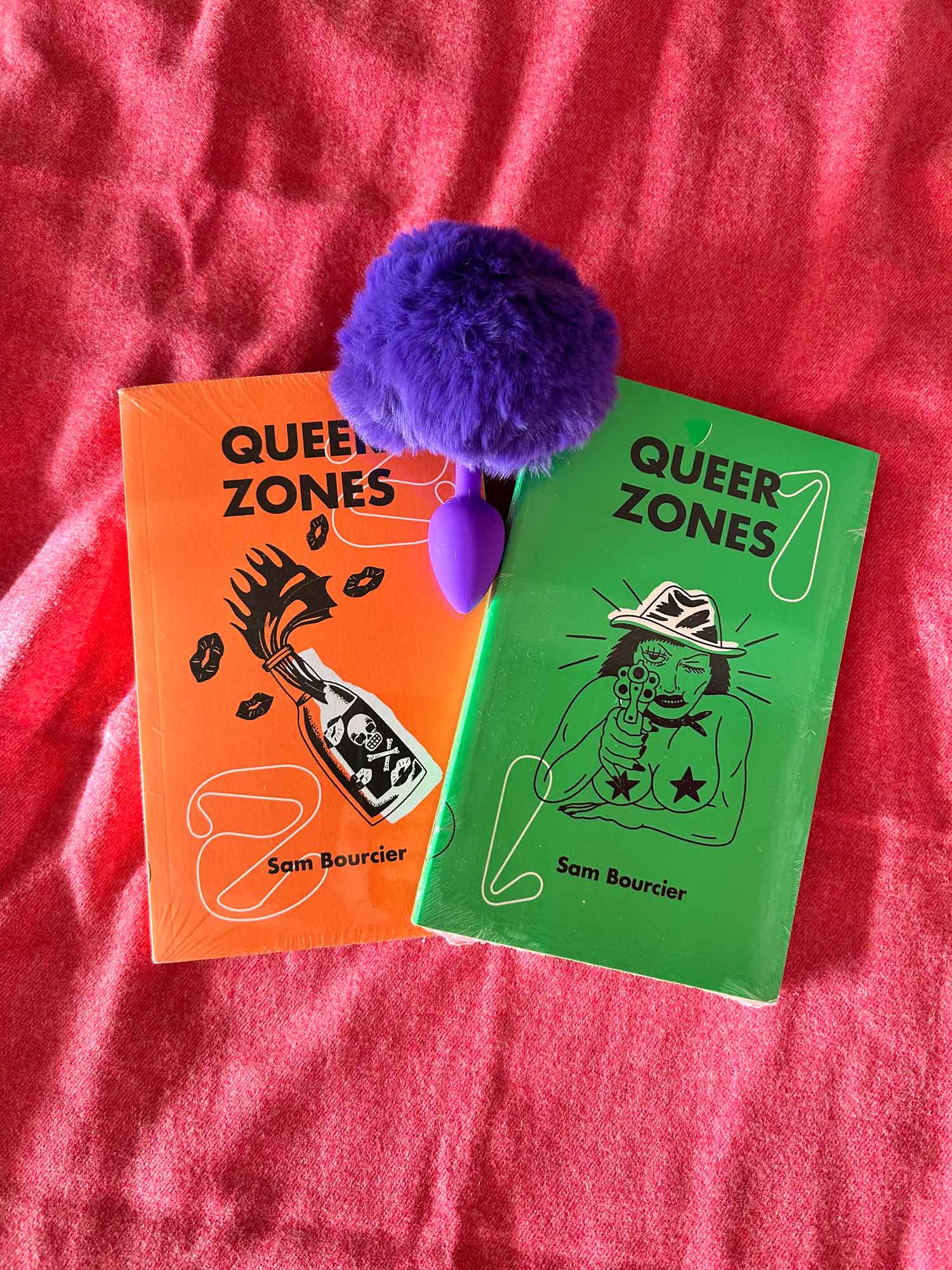 plug anal pelúcia de brinde na compra de queer zones 1 e 2 de sam bourcier